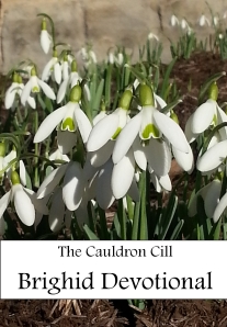 Cauldron Cill Brighid Devotional Cover
